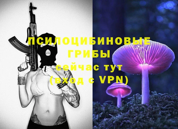 прущий лед Киреевск
