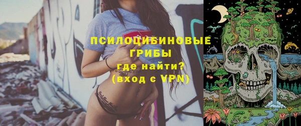 метадон Козловка