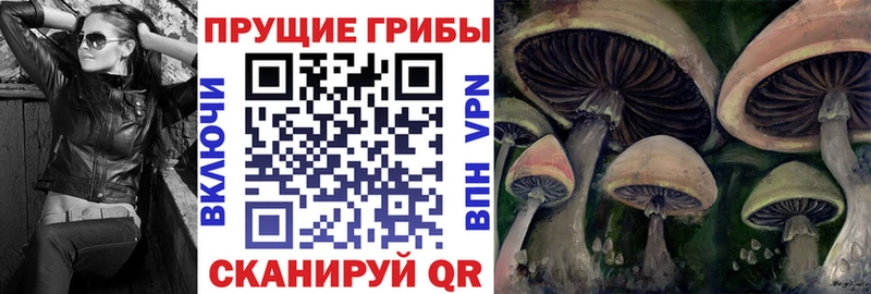 Псилоцибиновые грибы прущие грибы  Купить где  Видное 